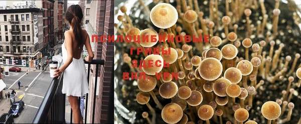 наркотики Рославль