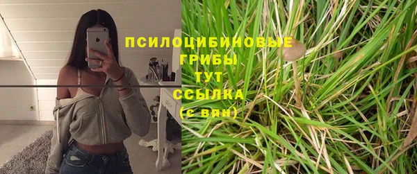 синтетический гашиш Россошь