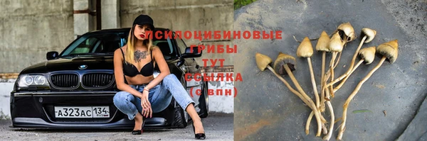 каннабис Ростов