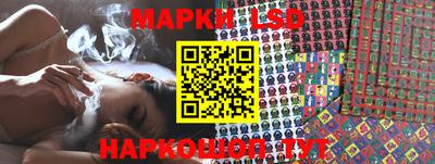 СК Новозыбков