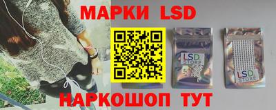 СК Новозыбков