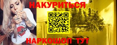 сатива Новокубанск