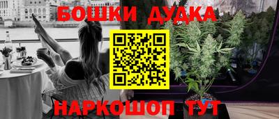сатива Новокубанск