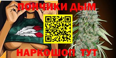 сатива Новокубанск