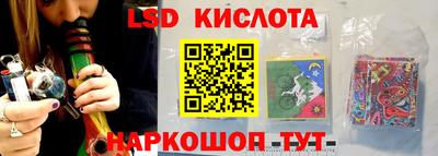 СК Новозыбков