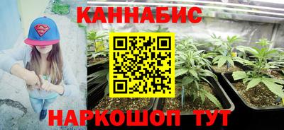 сатива Новокубанск