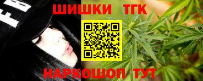 СК Новозыбков