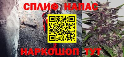 СК Новозыбков