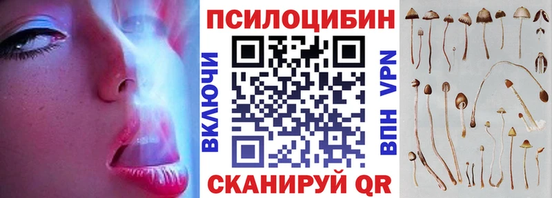 цены наркотик  Снежинск  Псилоцибиновые грибы Cubensis 