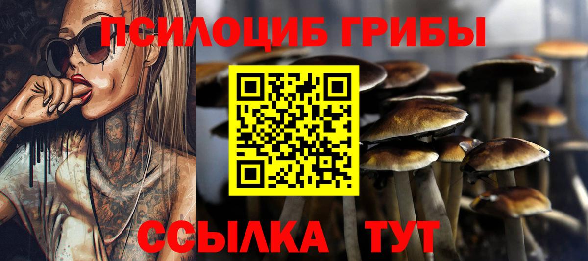 закладки  Галлюциногенные грибы Magic Shrooms  Вход с VPN  Снежинск 